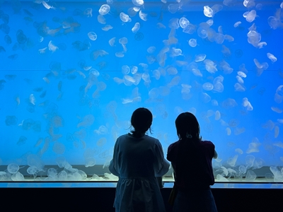クラゲ大水槽「くらげ365」