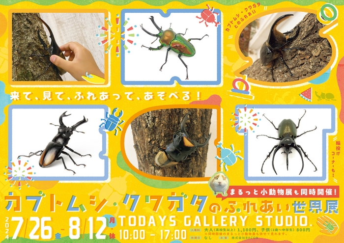 カブトムシ・クワガタのふれあい世界展 2024　キービジュアル(横)