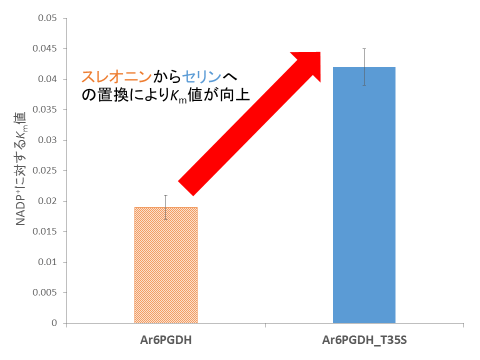 図4. Ar6PGDHとAr6PGDH_T35SのNADP+に対するKm値