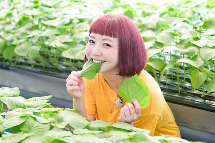 インスタグラマー小鳥遊しほさん