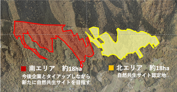 アファンの森全体の航空写真