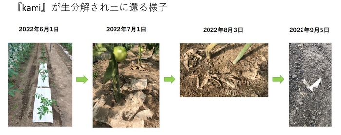 土に還る様子