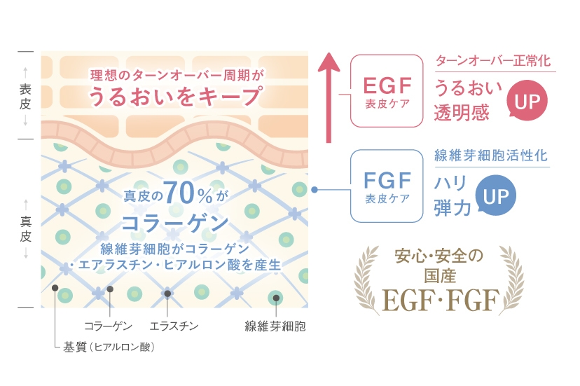 エイジングケアについて