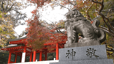 香取神宮の紅葉