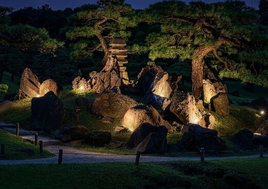 中島周辺のライトアップ（昨年度の様子）