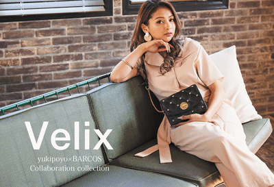 Velixイメージ