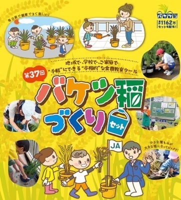 「バケツ稲づくり」イメージ画像1