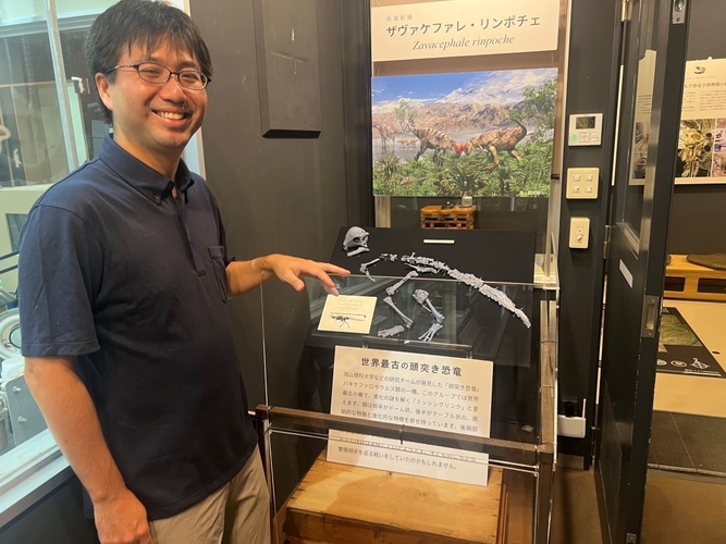 恐竜学博物館で一般公開が始まったザヴァケファレの全身骨格レプリカ