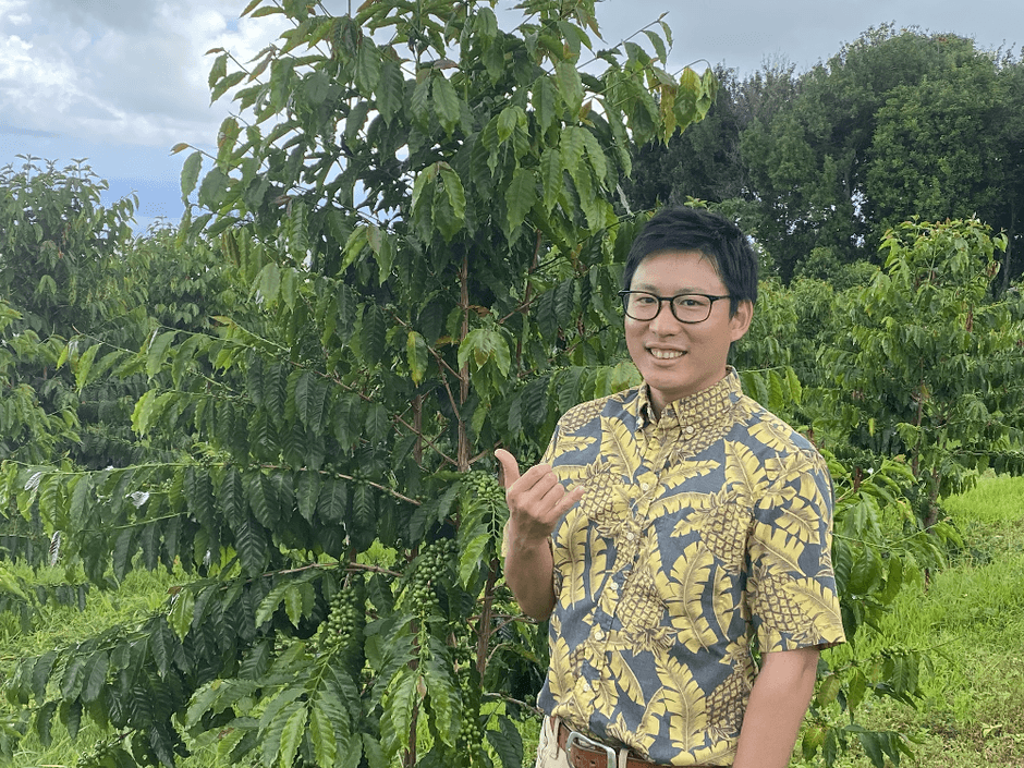 UCCハワイコナコーヒー・エステート(直営農園)