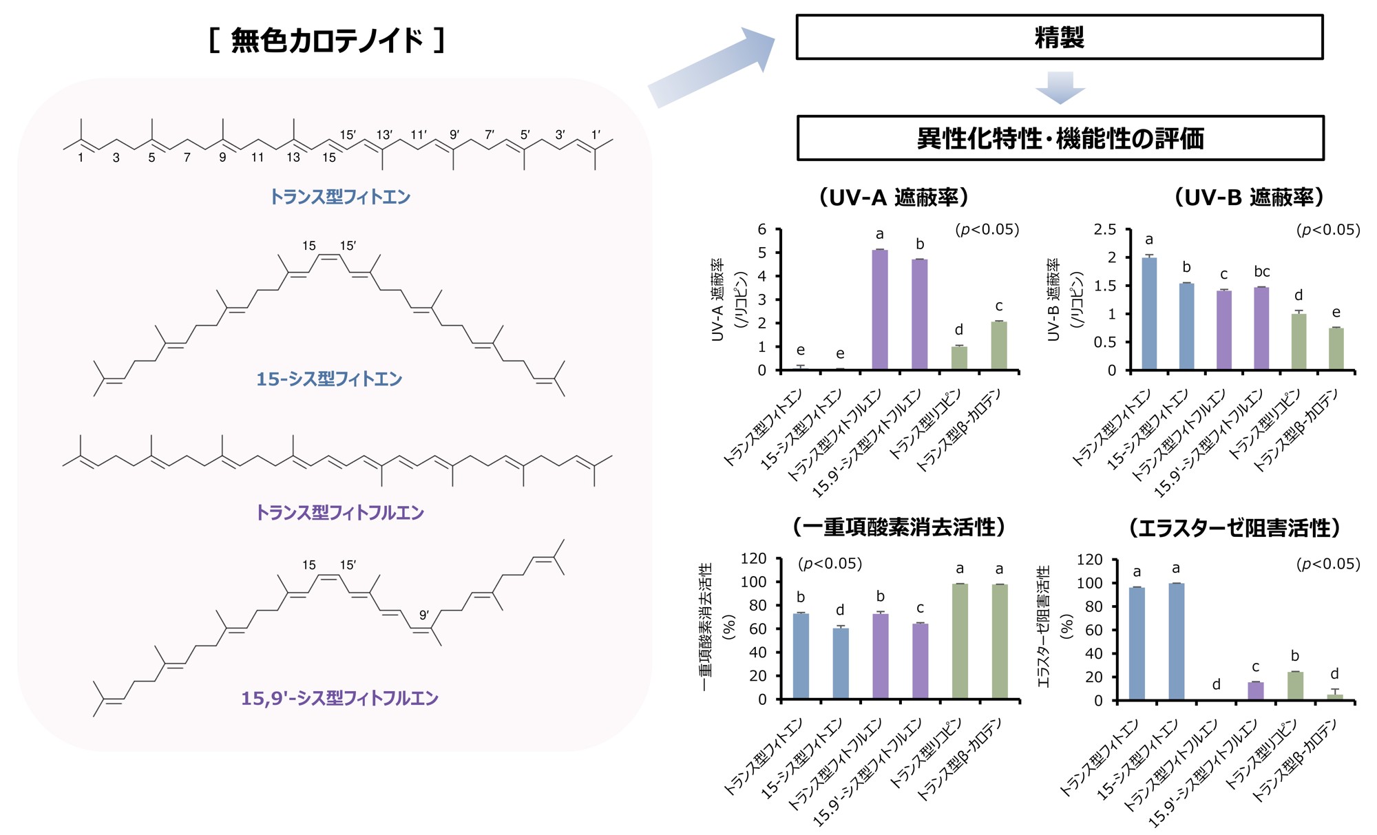 【名城大学】次世代の化粧品・食品素材の開発へ！ 天然由来の無色カロテノイドの紫外線防御と美容効果を確認