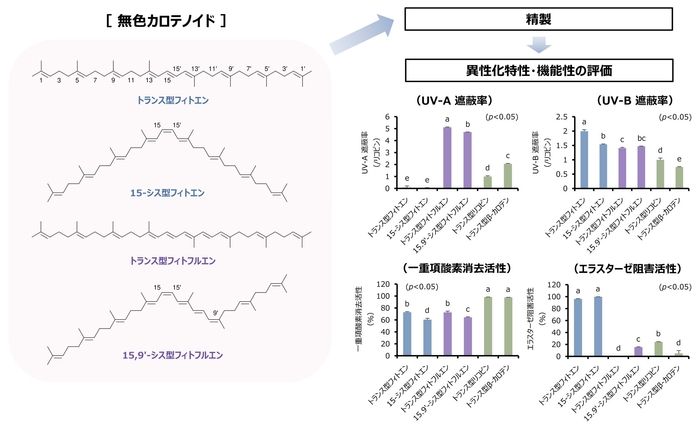 図１：フィトエンならびにフィトフルエン異性体の化学構造と機能性