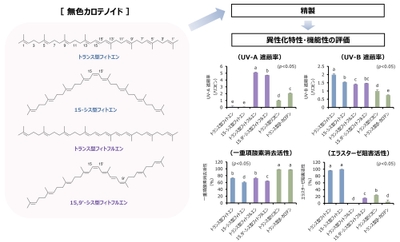 図1:フィトエンならびにフィトフルエン異性体の化学構造と機能性
