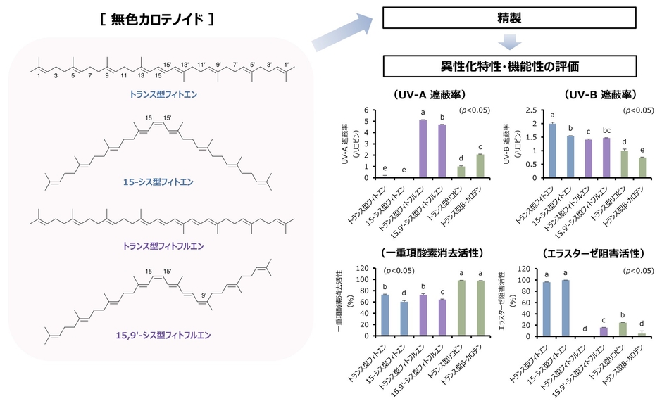 図1:フィトエンならびにフィトフルエン異性体の化学構造と機能性