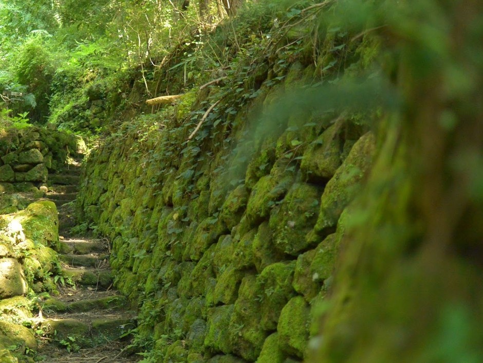 岩地コース小道