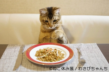 過去最大の「ねこ休み展」新グッズ情報解禁　 ねこたちが海を越える！海外初・香港出展の詳細も決定