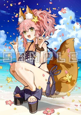 ソフマップ(キャスター)