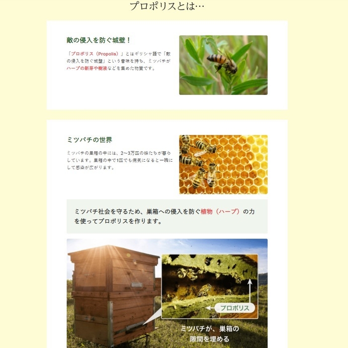 プロポリスとは?