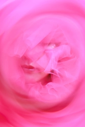 写真家＜清田大介＞ × 女優＜彩月貴央＞による写真展 『LUMINA(ルミナ)』恵比寿アメリカ橋ギャラリーにて 2026年08月19日～2026年08月24日開催