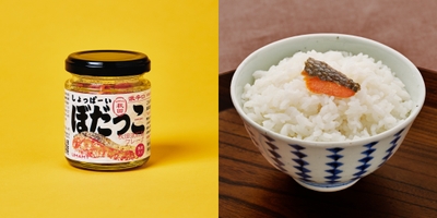 ノリットジャポン　しょっぱーいぼだっこ