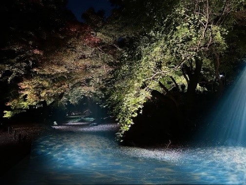 水香江プロジェクション(イメージ)