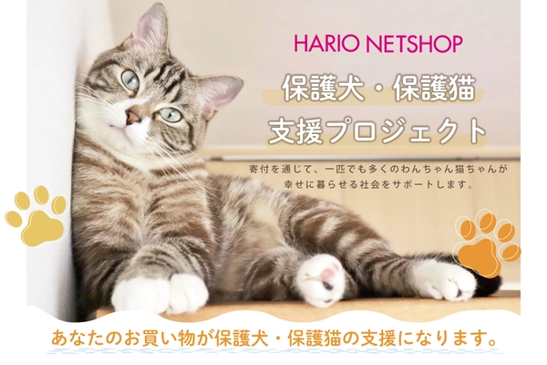 HARIOペット「保護犬・保護猫支援プロジェクト」を実施　 HARIO NETSHOP購入金額の1％を 一般社団法人三崎動物保護センター 「みさきアニマルすまいる」へ寄付