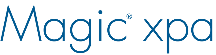 ローコード開発ツール「Magic xpa」