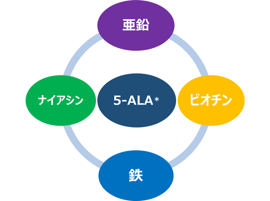 4つの栄養機能成分と5-ALA