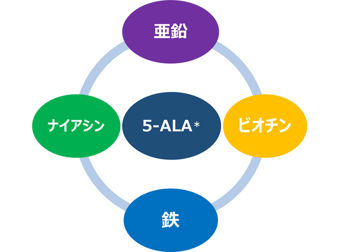 4つの栄養機能成分と5-ALA