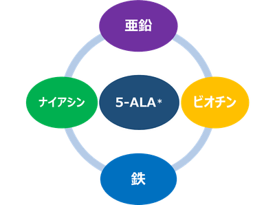 4つの栄養機能成分と5-ALA