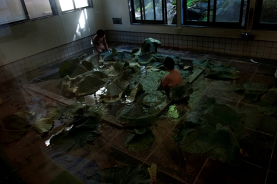 志賀理江子作品　「藤島旅館」　2016年