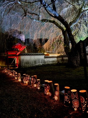 高月院