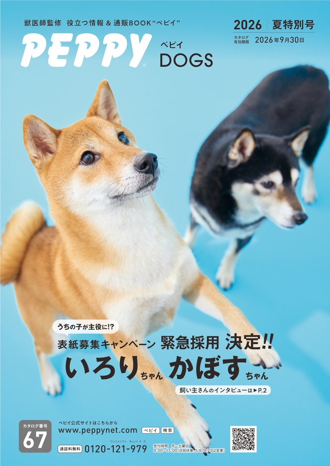 2026年夏号に掲載された表紙写真