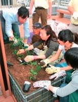 前回の苗植えイベントの様子