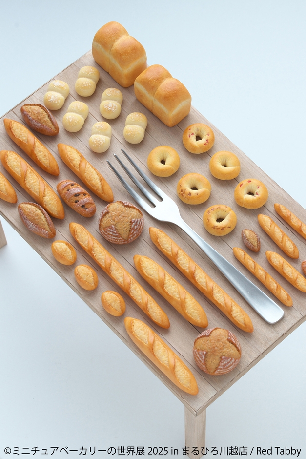 展示作品：Red Tabby(1)