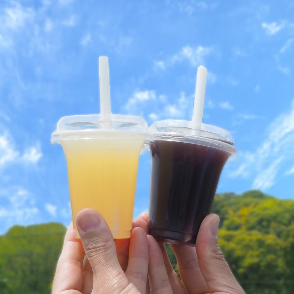 夏の健康お守り 乳酸菌入りクデュウー