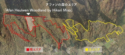アファンの森のエリアと『『 Afan Heulwen Woodland by Hikari Miso 』の位置図