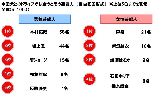 愛犬とのドライブが似合うと思う芸能人