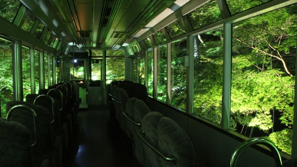 「青もみじ新緑のライトアップ」過去開催時の様子