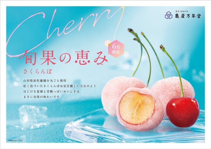 東急線ドア横ポスター