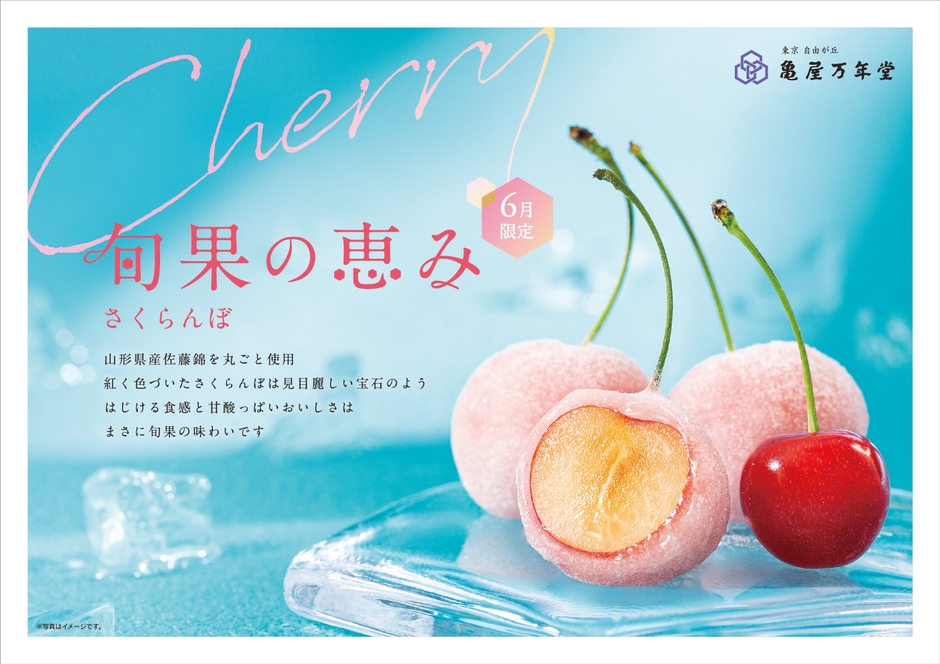 東急線ドア横ポスター