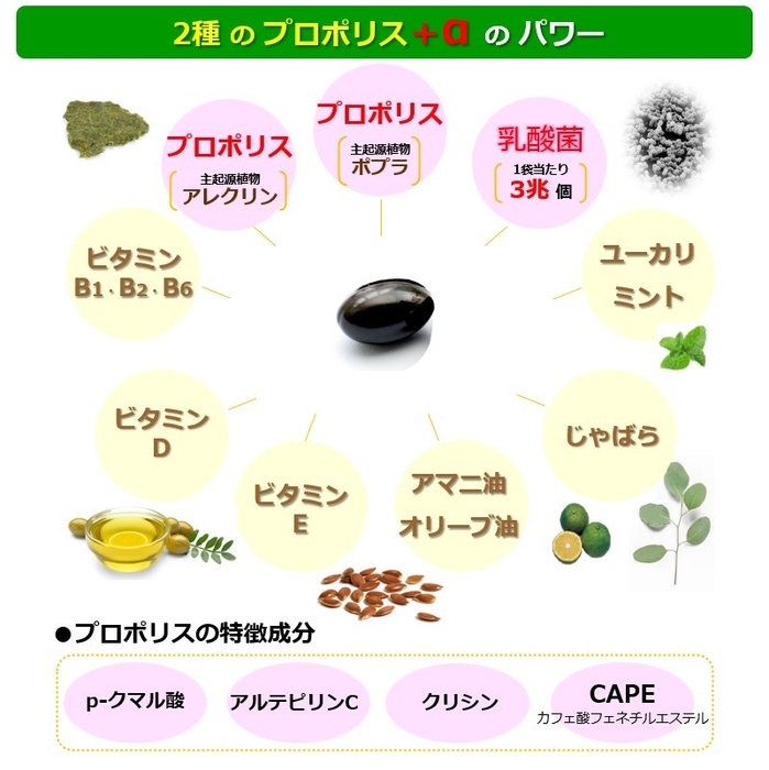 2種プロポリス+αパワー