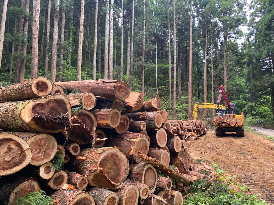 自社山林の間伐作業【富山県内】