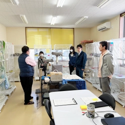 能登半島地震により被災され、石川県野々市市に避難し、 生活されている方に向け、ペットのおうち  野々市シェルターが猫の一時預かりを開始