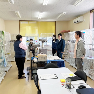 能登半島地震により被災され、石川県野々市市に避難し、 生活されている方に向け、ペットのおうち  野々市シェルターが猫の一時預かりを開始