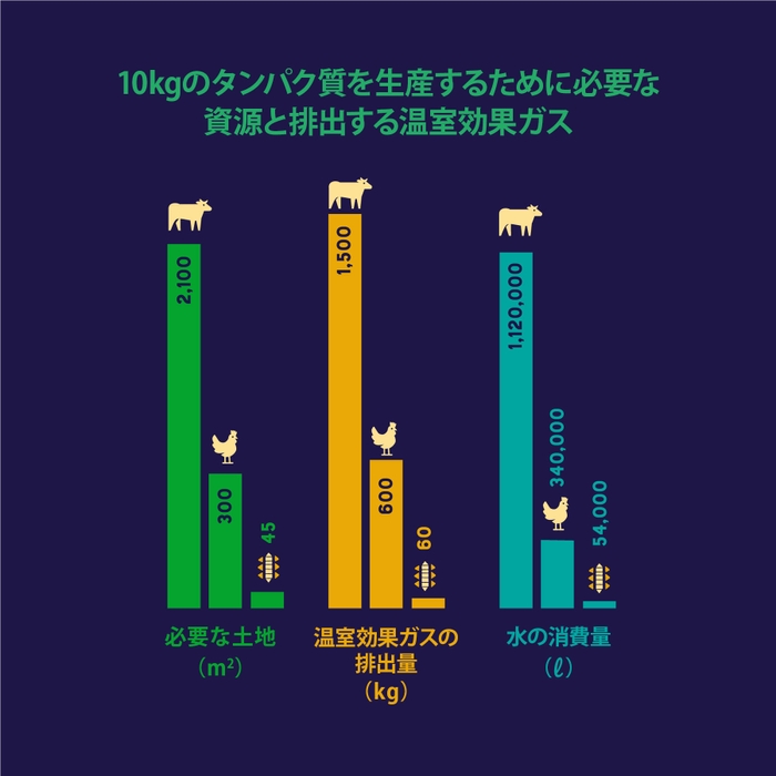 ヨラドッグフード グラフ