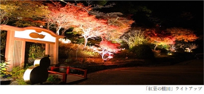 有馬唯一の紅葉ライトアップを 「太閤の湯」園内「紅葉(こうよう)の棚田(たなだ)」で開催 GOTO有馬ナイトイベント！「写メってお得に太閤の湯キャンペーン」開催 2020年11月1日（日）から