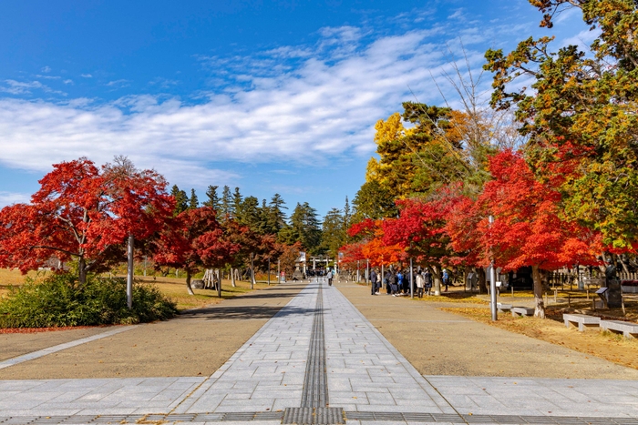 米沢市 上杉神社