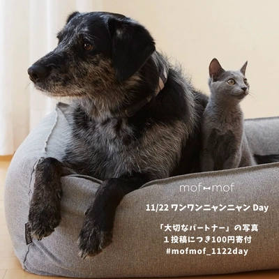 北欧デザインのペット用品セレクトショップ「mof-mof」が、 11月22日“ワンワンニャンニャンDAY”に合わせ チャリティーキャンペーンを開始
