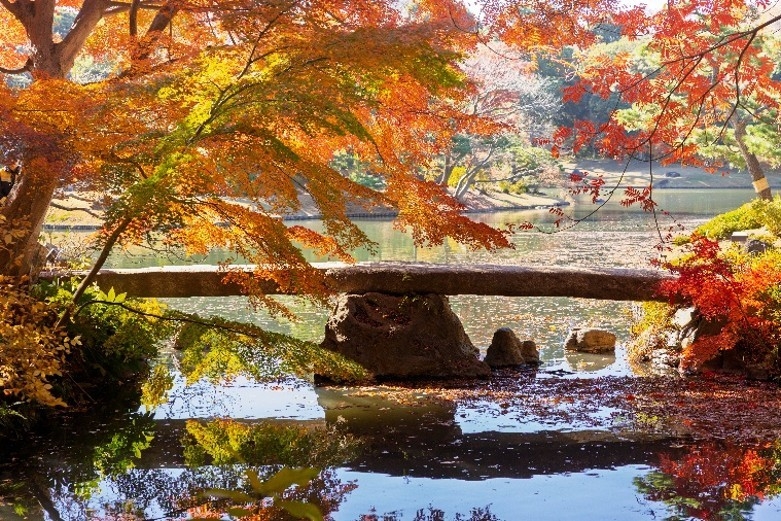 渡月橋（昨年11月下旬頃の様子）