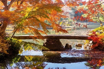 渡月橋(昨年11月下旬頃の様子)